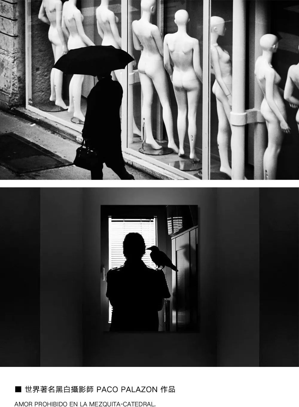 1572853171170513.jpg 6.webp_看图王.jpg